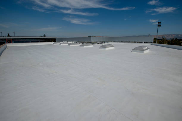 Best Sheet Metal Roofing  in Claypool Hill, VA