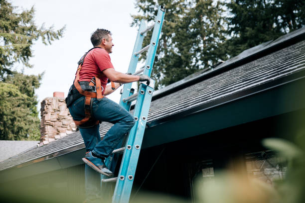 Best Metal Roofing Installation  in Claypool Hill, VA